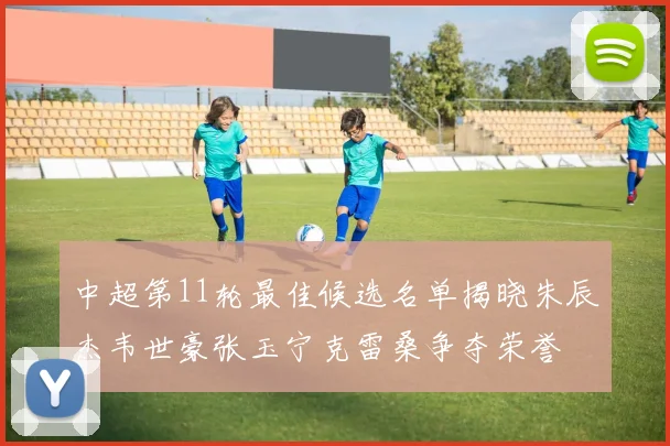 中超第11轮最佳候选名单揭晓朱辰杰韦世豪张玉宁克雷桑争夺荣誉