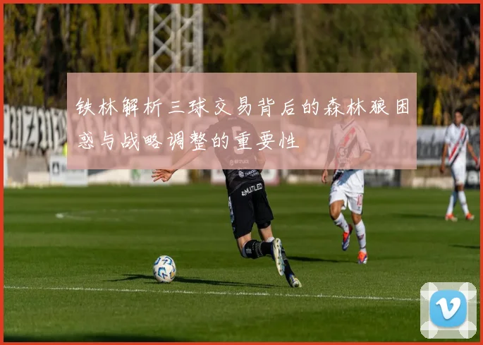 铁林解析三球交易背后的森林狼困惑与战略调整的重要性