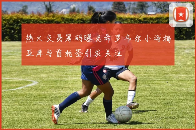 热火交易筹码曝光希罗韦尔小海梅亚库与首轮签引发关注