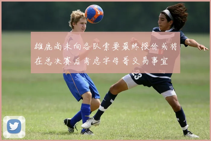 雄鹿尚未向各队索要最终报价或将在总决赛后考虑字母哥交易事宜
