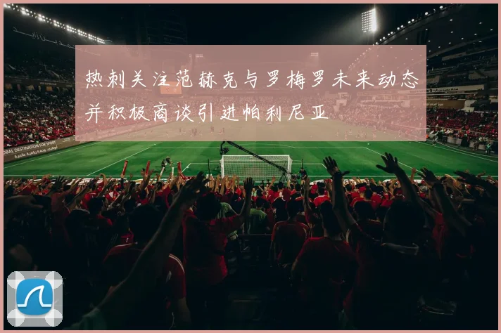 热刺关注范赫克与罗梅罗未来动态并积极商谈引进帕利尼亚
